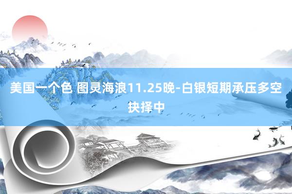 美国一个色 图灵海浪11.25晚-白银短期承压多空抉择中