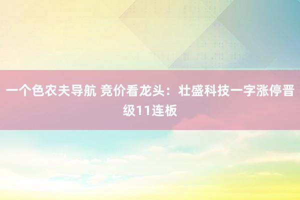 一个色农夫导航 竞价看龙头：壮盛科技一字涨停晋级11连板