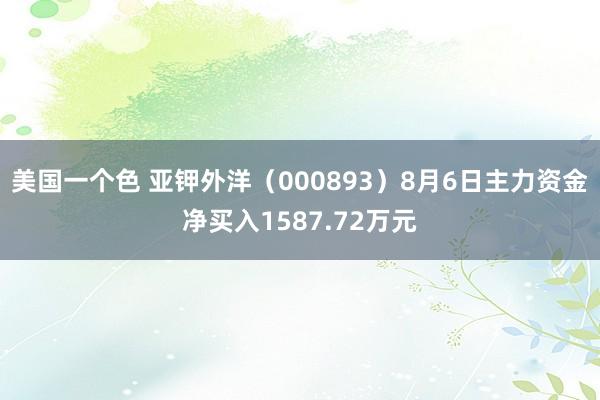 美国一个色 亚钾外洋（000893）8月6日主力资金净买入1587.72万元