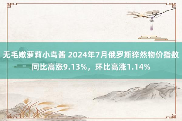 无毛嫩萝莉小鸟酱 2024年7月俄罗斯猝然物价指数同比高涨9.13%，环比高涨1.14%