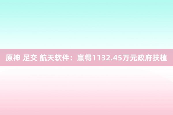 原神 足交 航天软件：赢得1132.45万元政府扶植